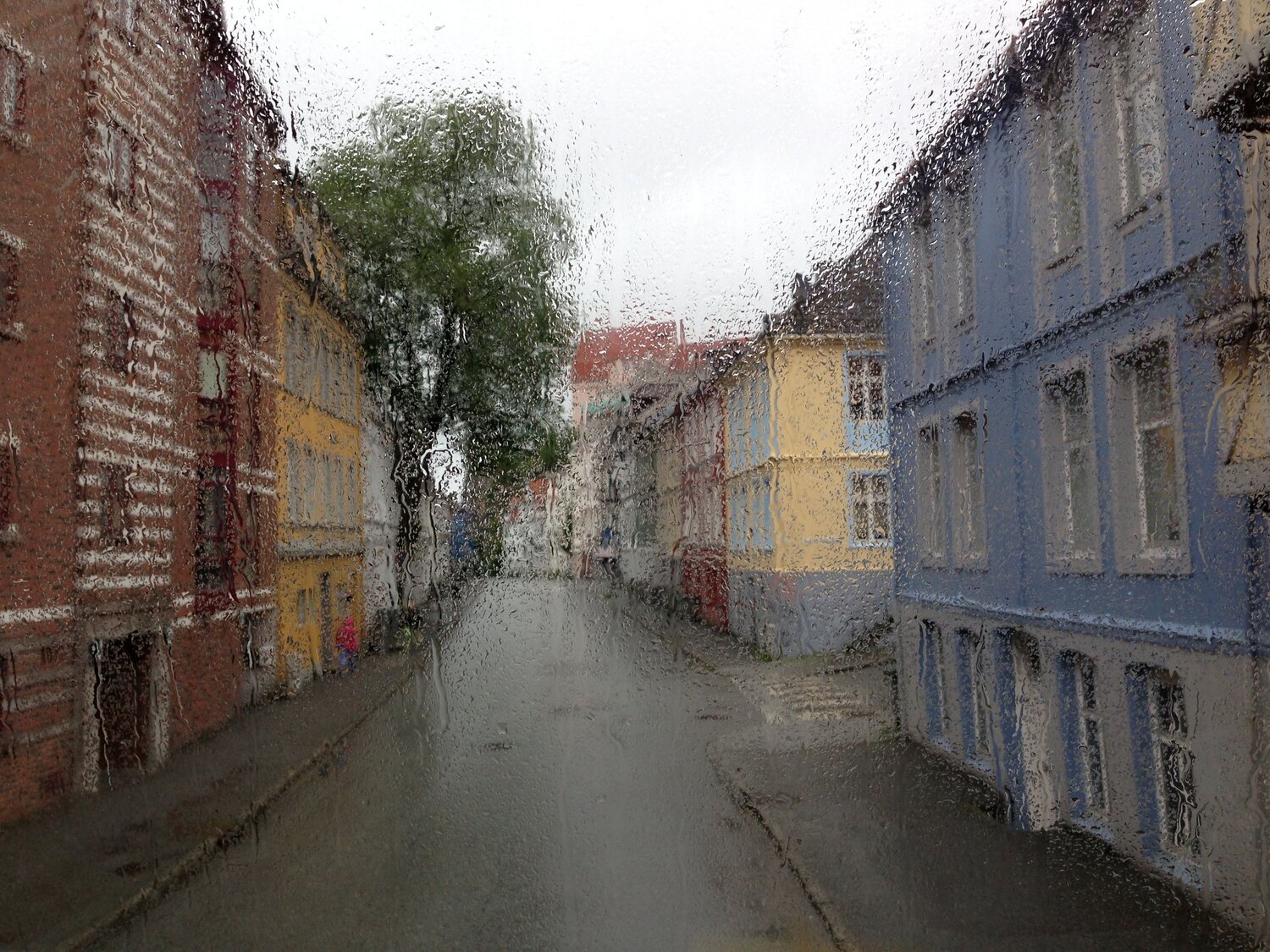 Photo #14221535