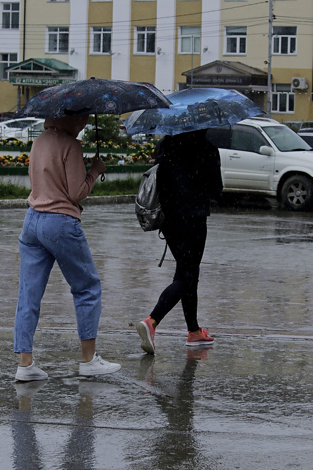 Photo #14221570