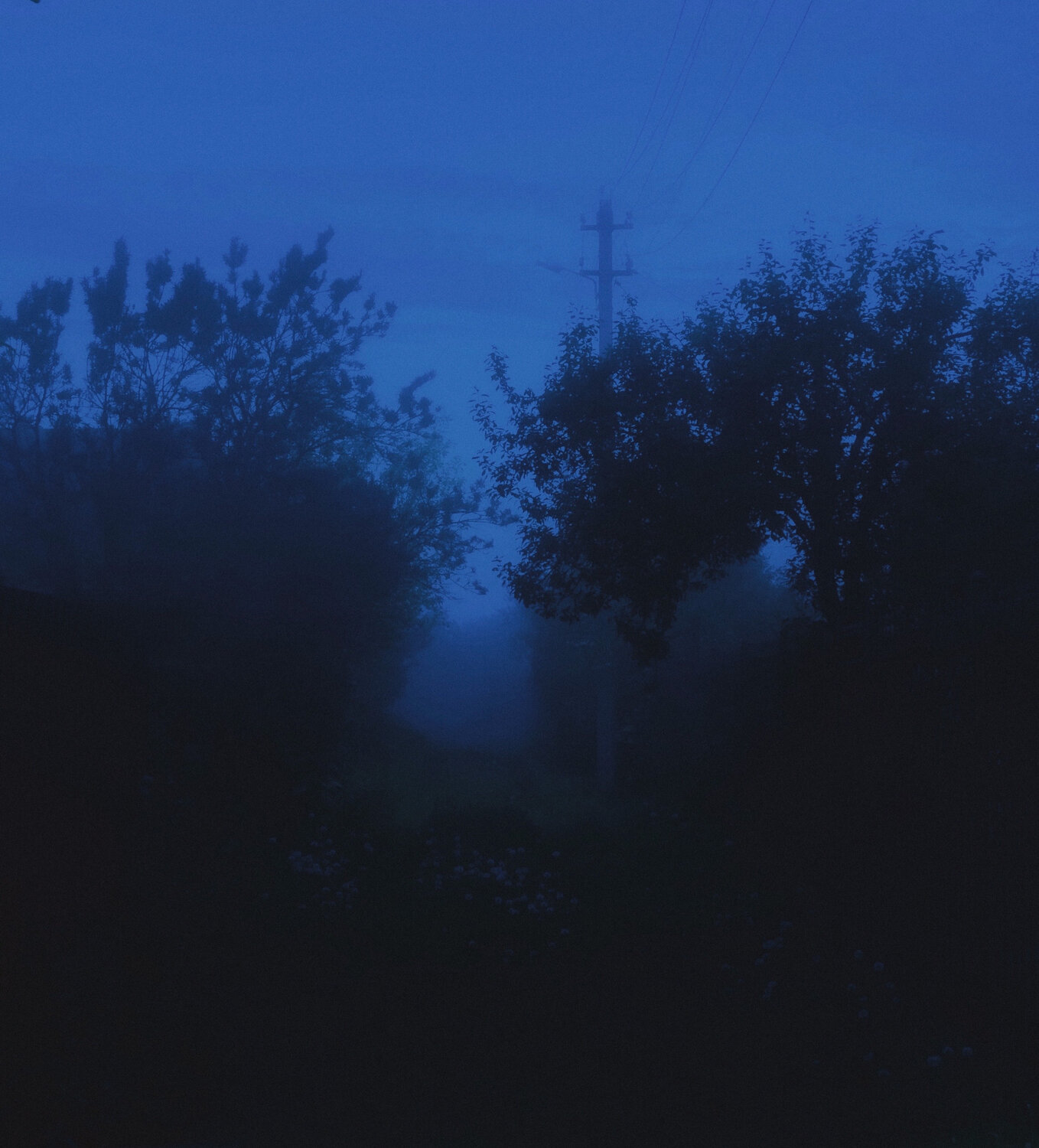 Photo #14221687
