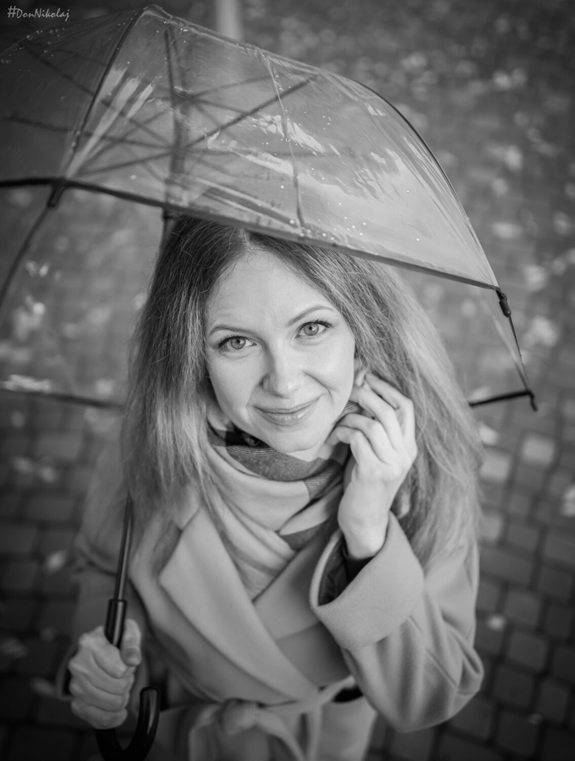 Фотография #14221879
