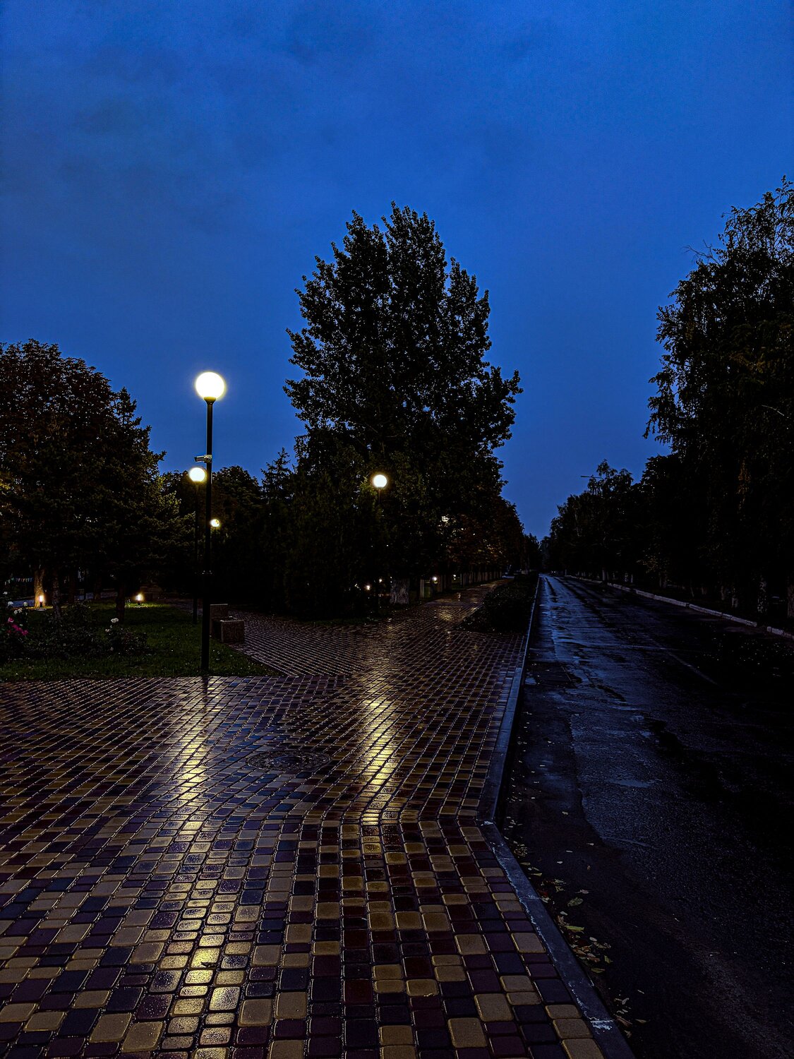 Photo #14221994