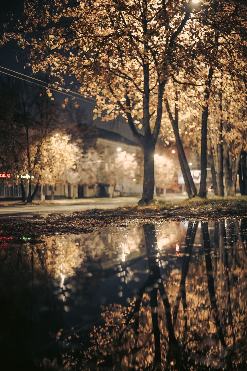 Осень в зеркале