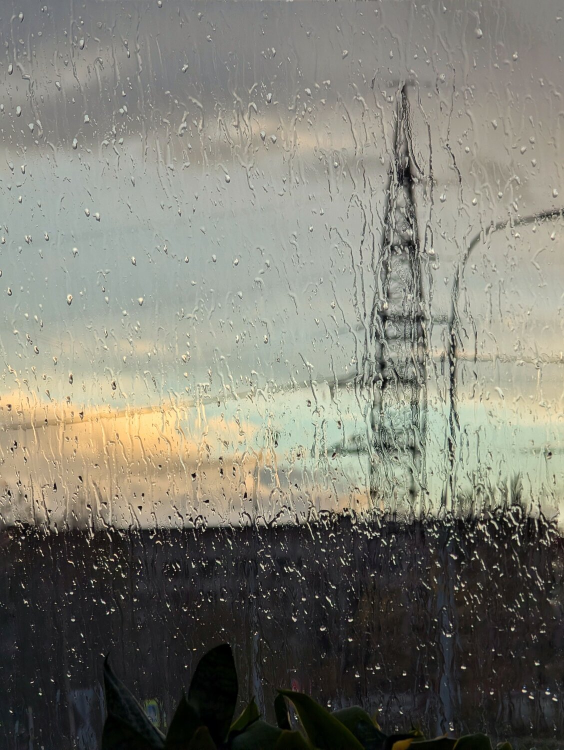 Photo #14222070
