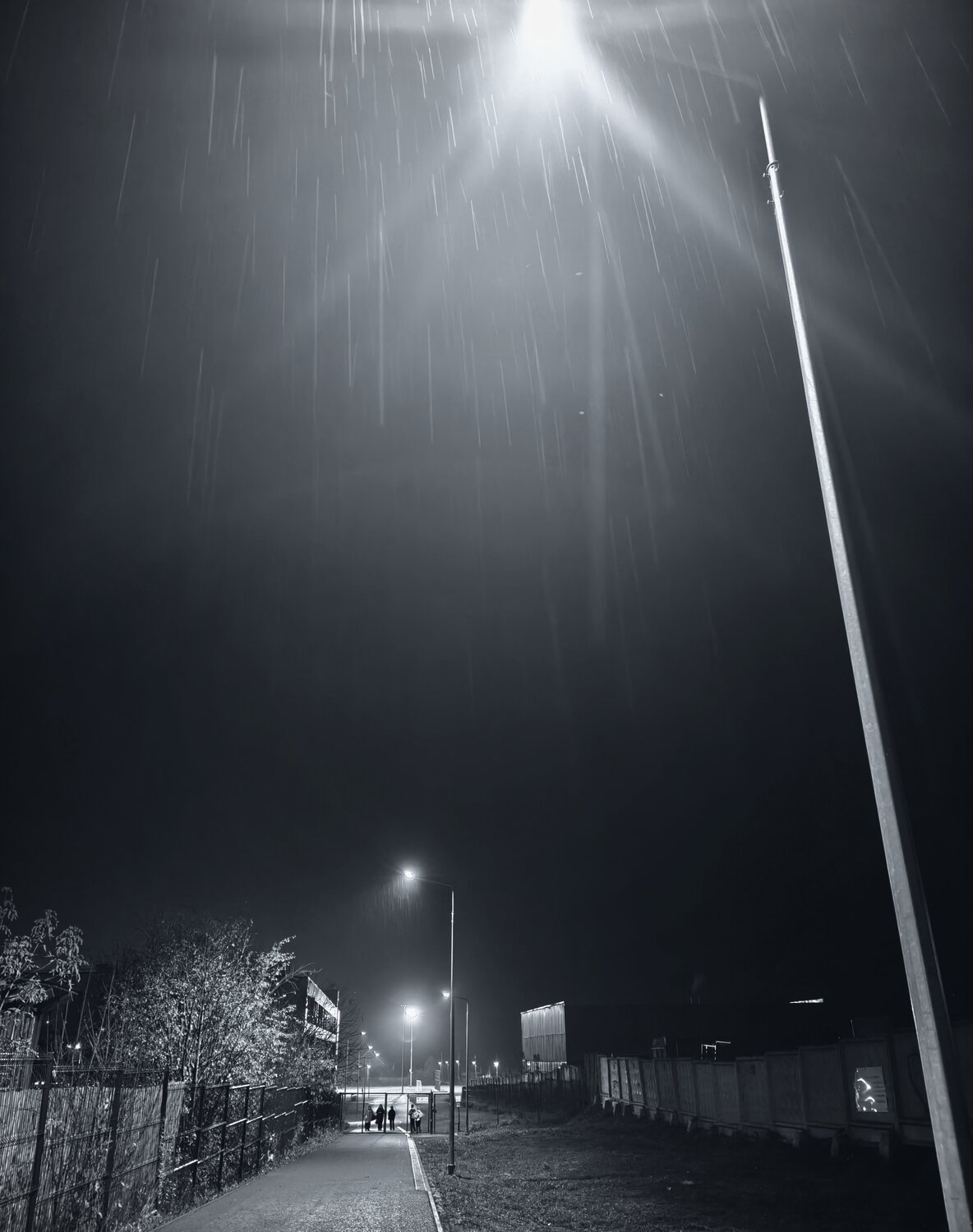 Photo #14222151
