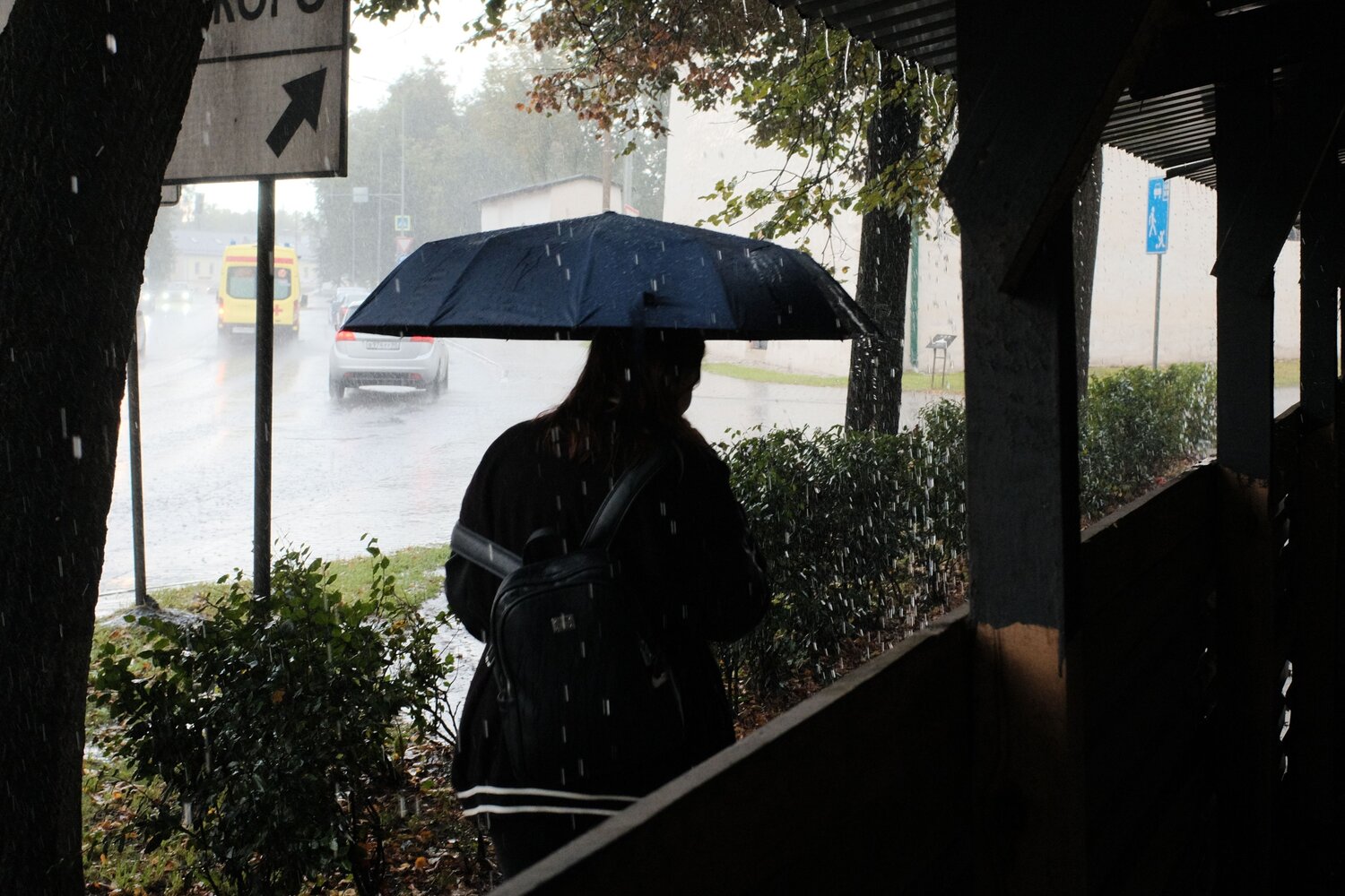 Photo #14222254