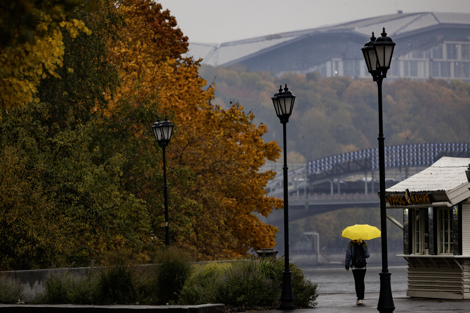 Photo #14222503