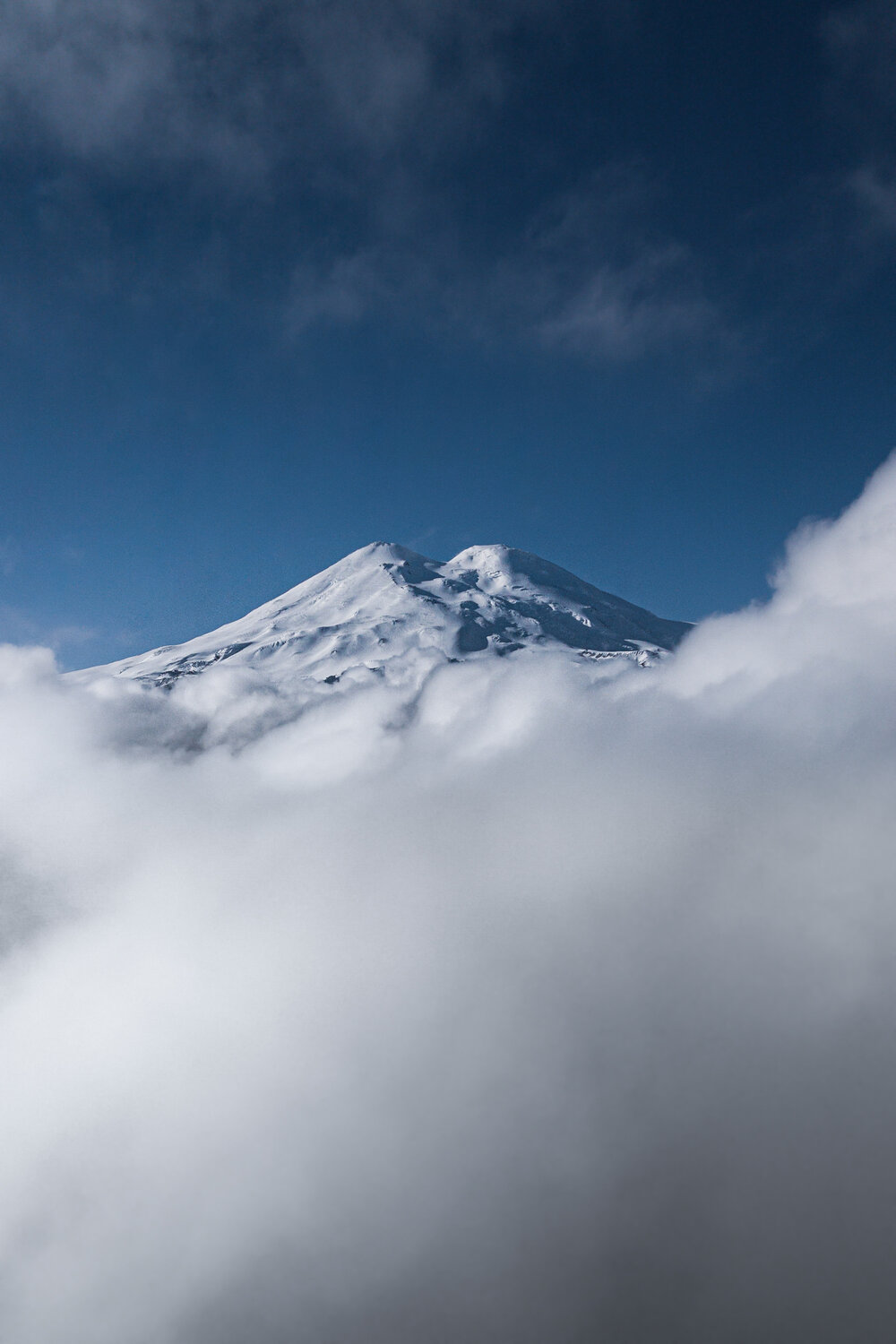 Photo #14222644