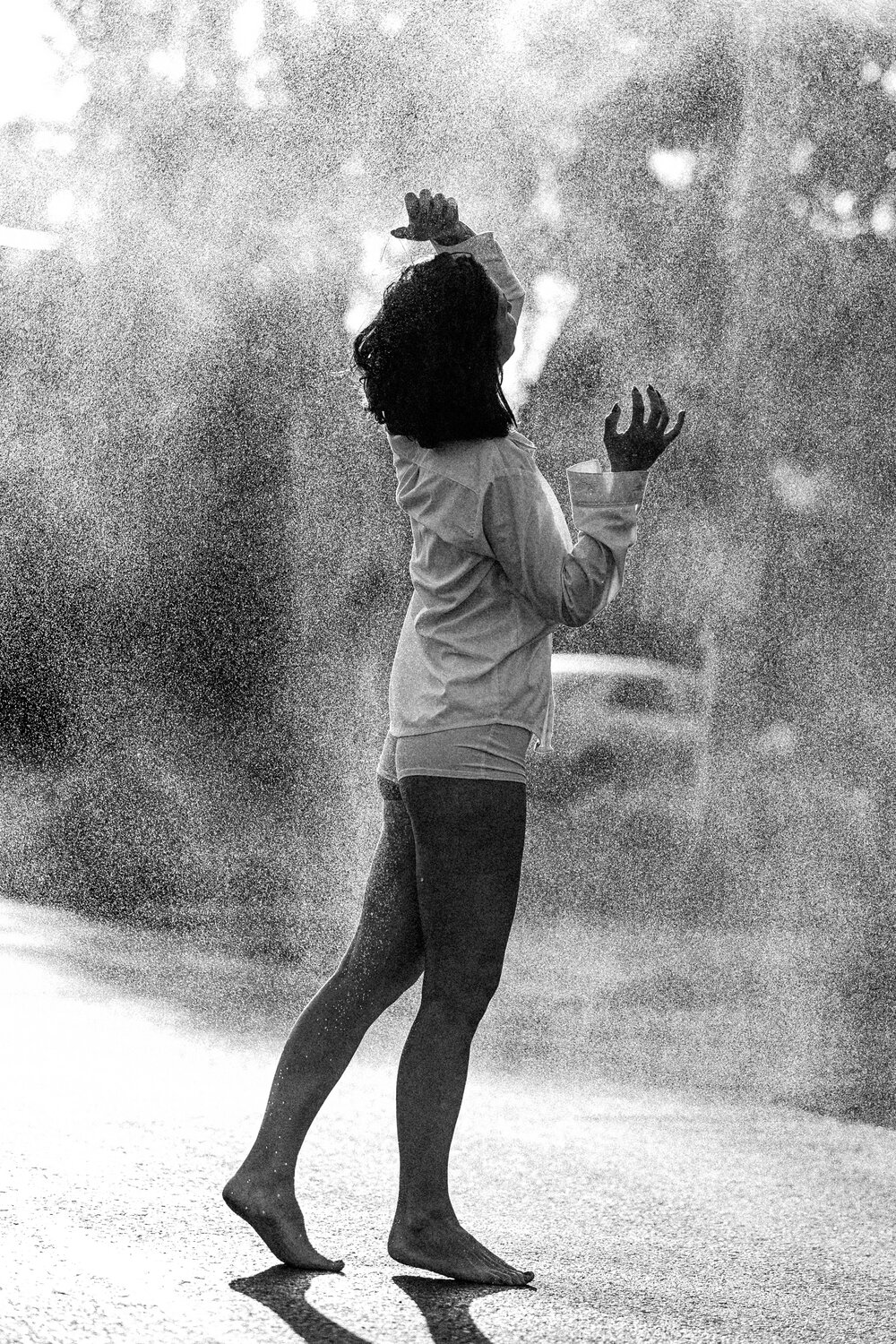 Photo #14222832