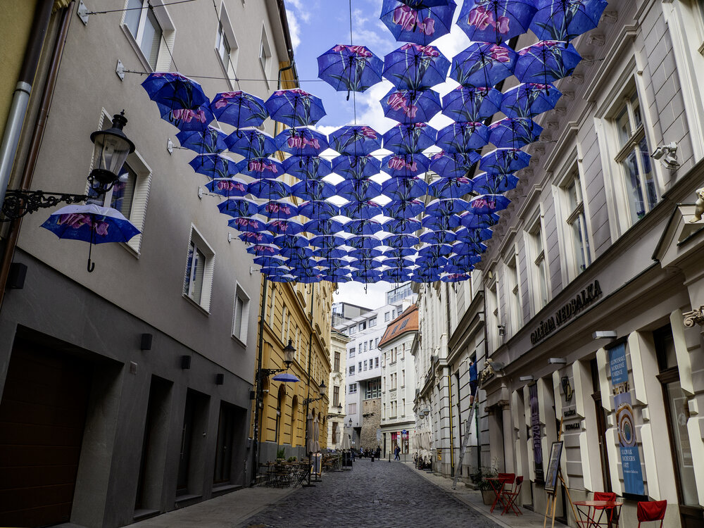 Photograph by Semion Ribinik