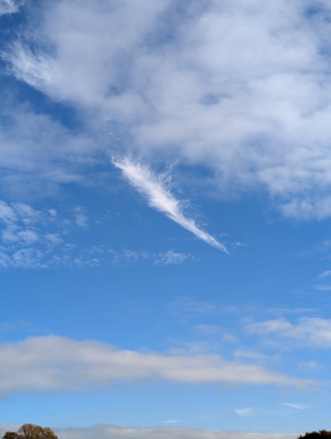 Photo #14223126