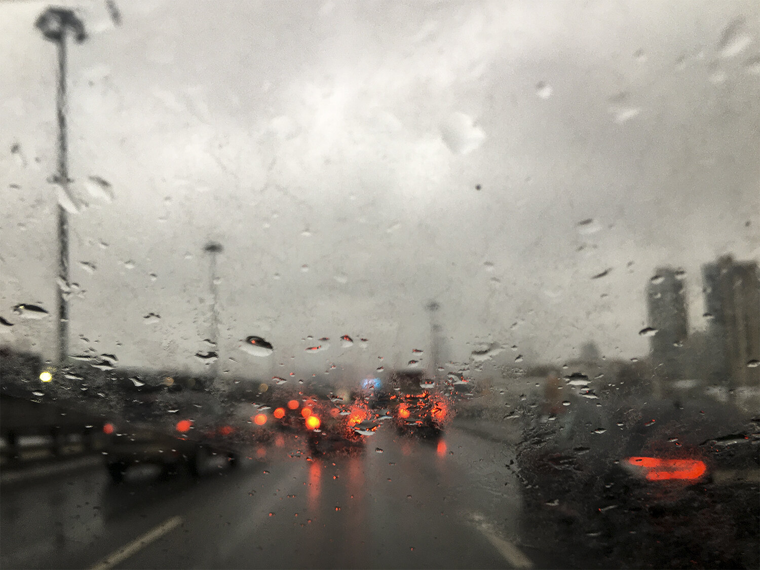 Photo #14223271
