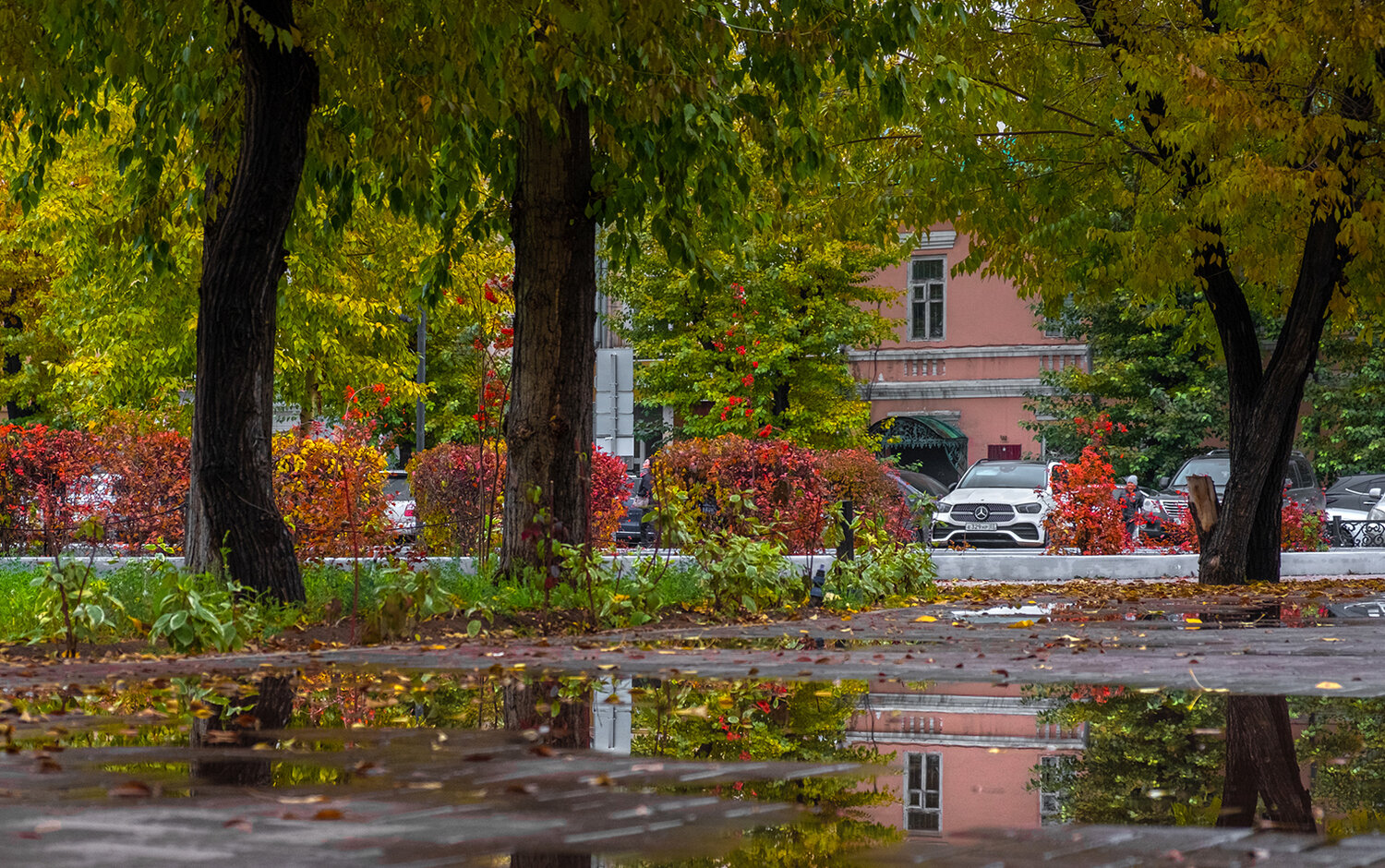 Photo #14223459