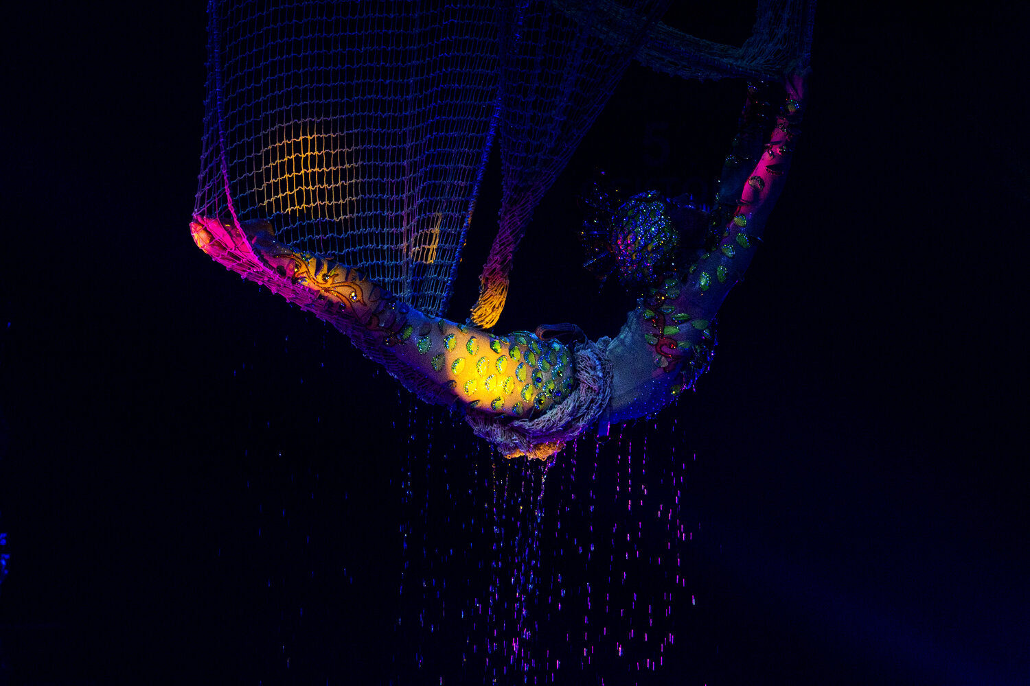 Photo #14223896