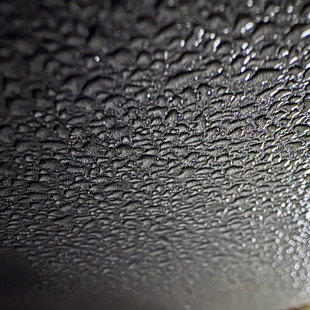 Silver Skin