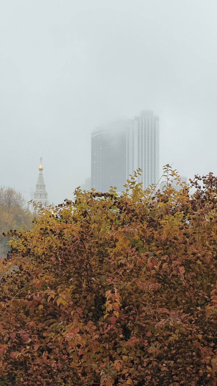 Photo #14224490