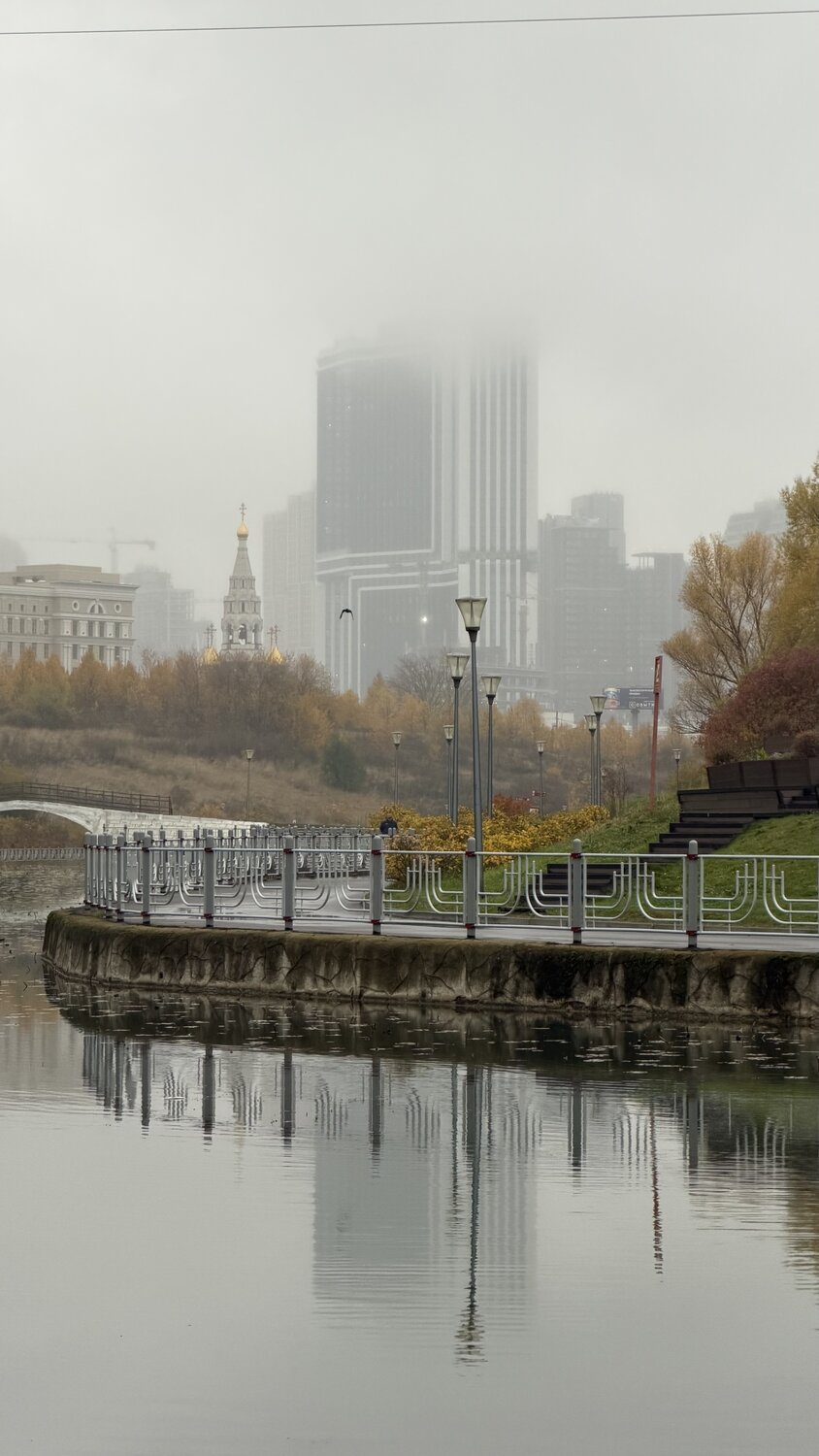 Photo #14224491