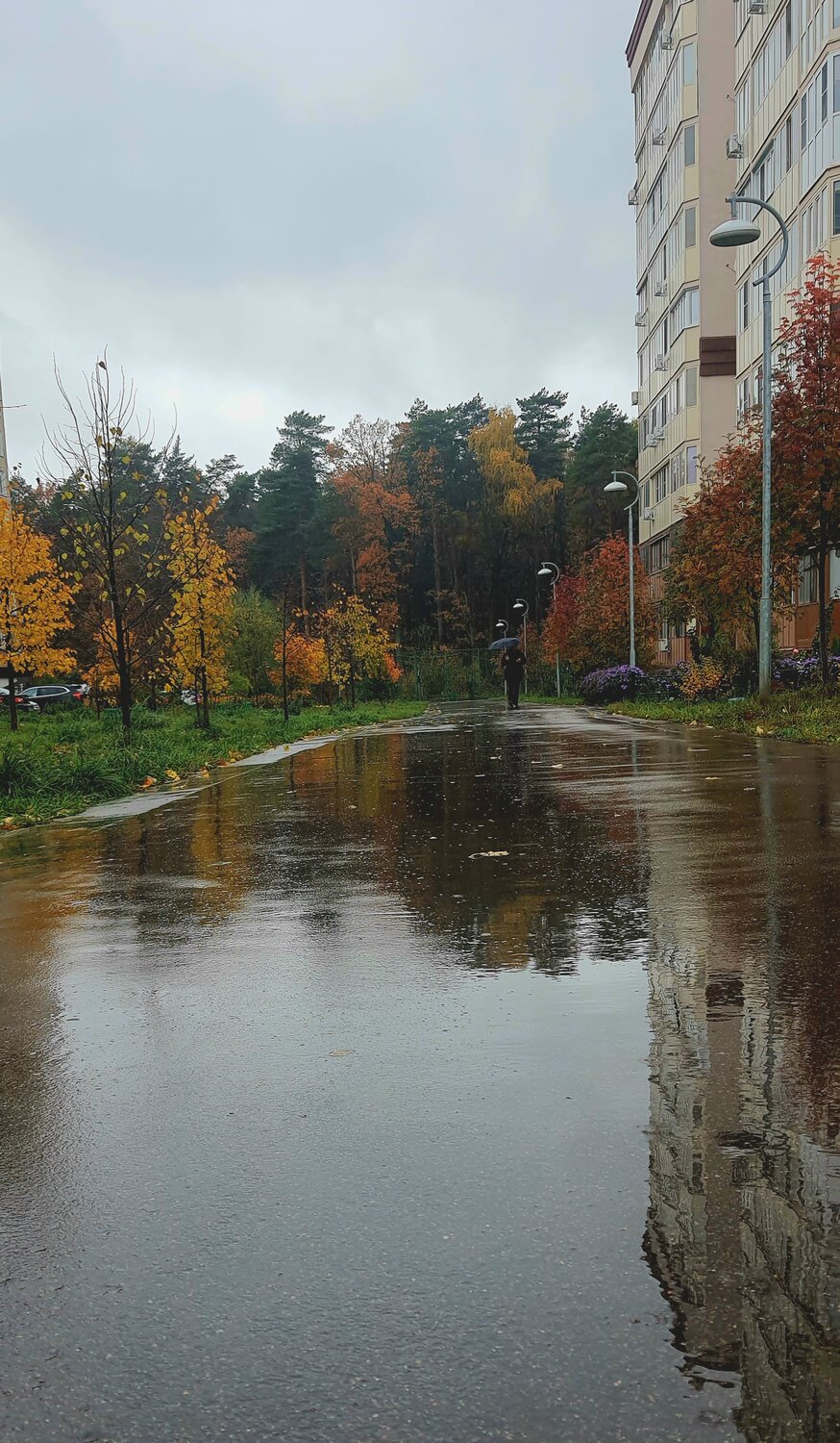 Фотография #14224683