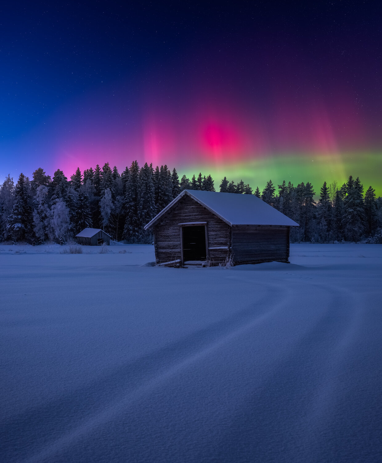 Photo #14224732