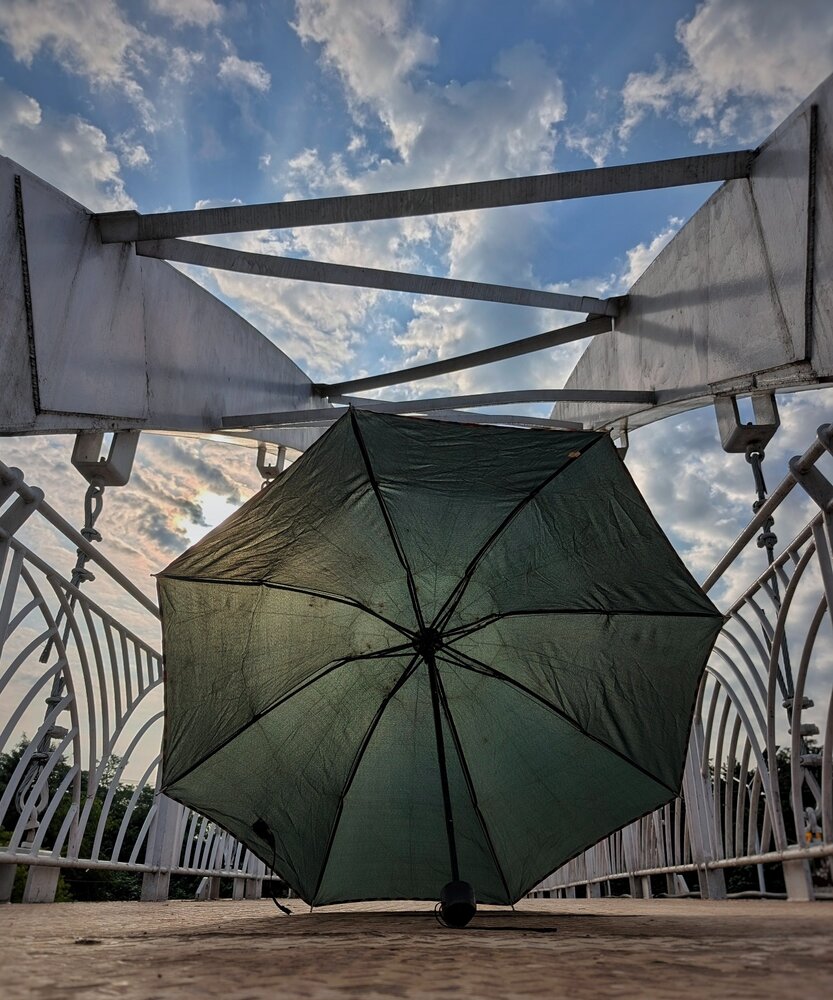 Arachne on the Bridge