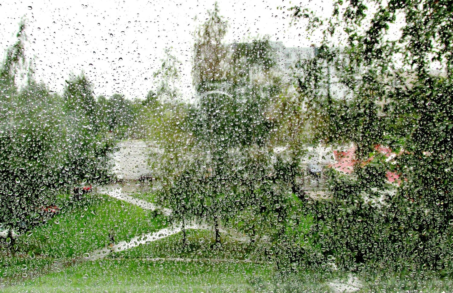 Photo #14224803