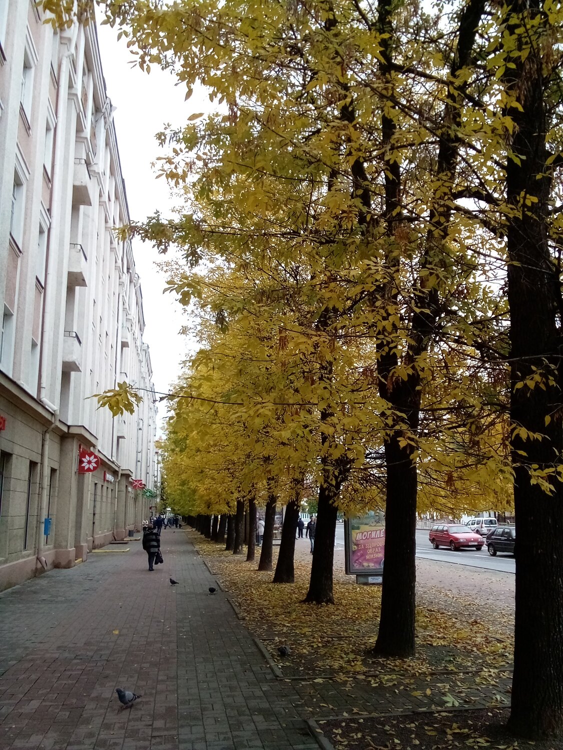 Photo #14224866