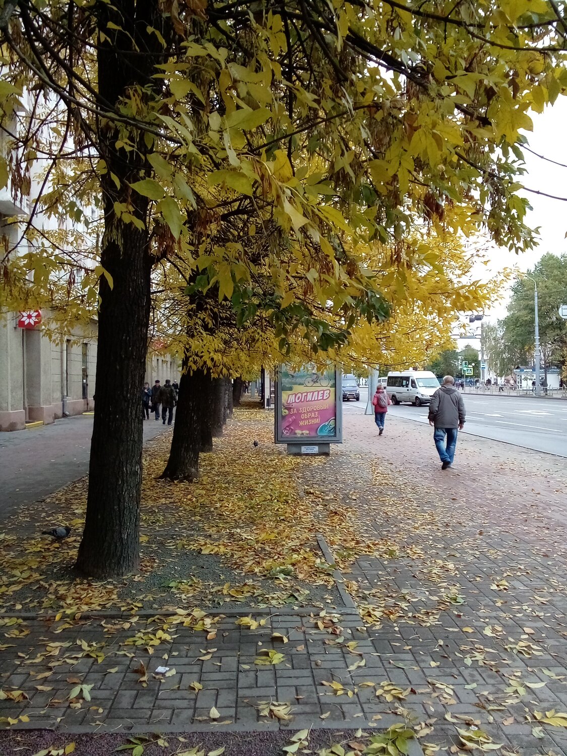 Photo #14224867