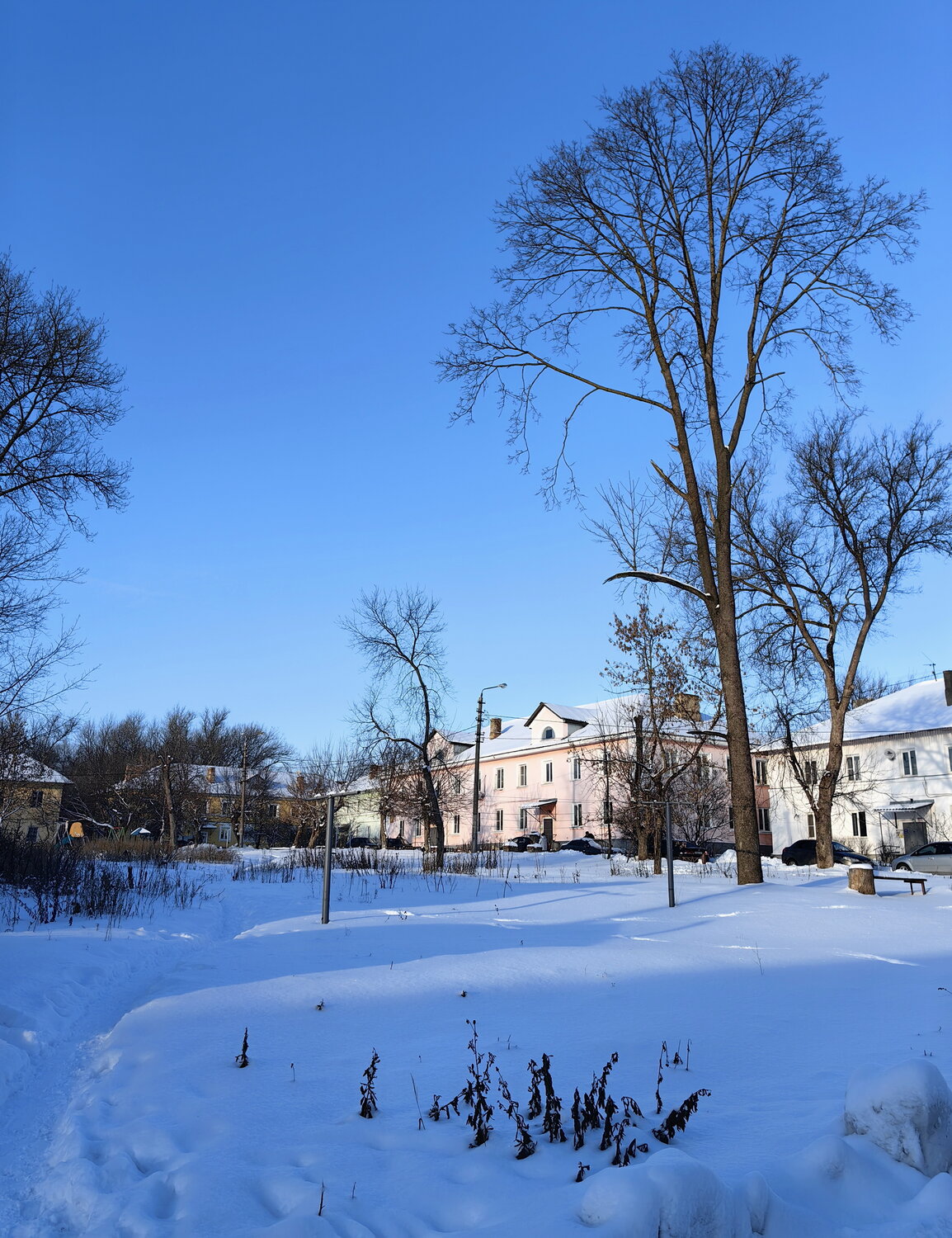 Photo #14224968