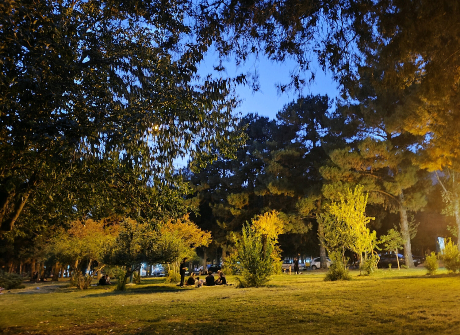 Photo #14225077