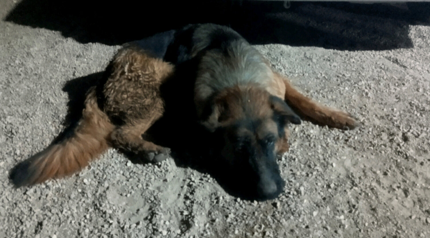 Photo #14225090