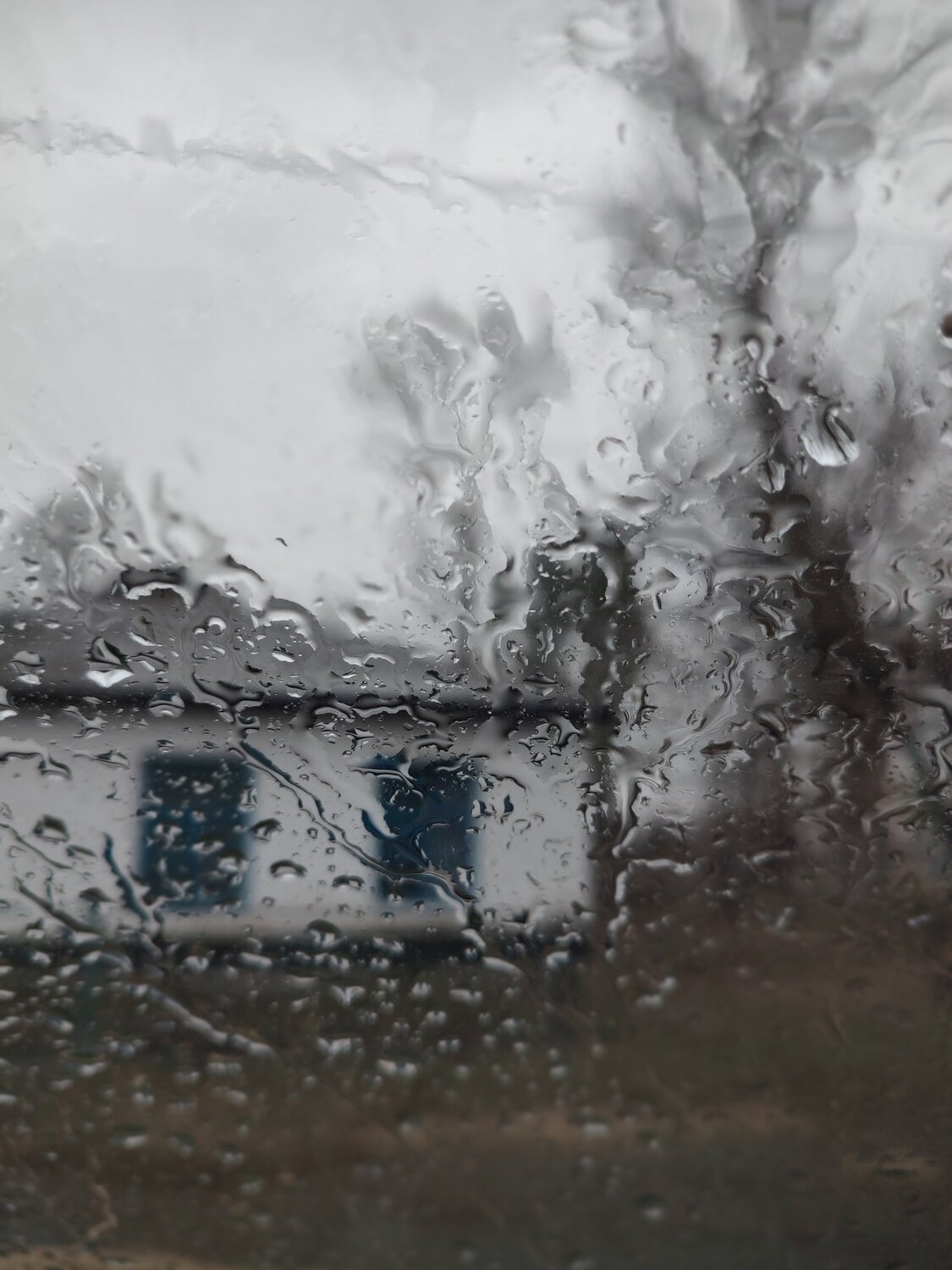 Photo #14225098