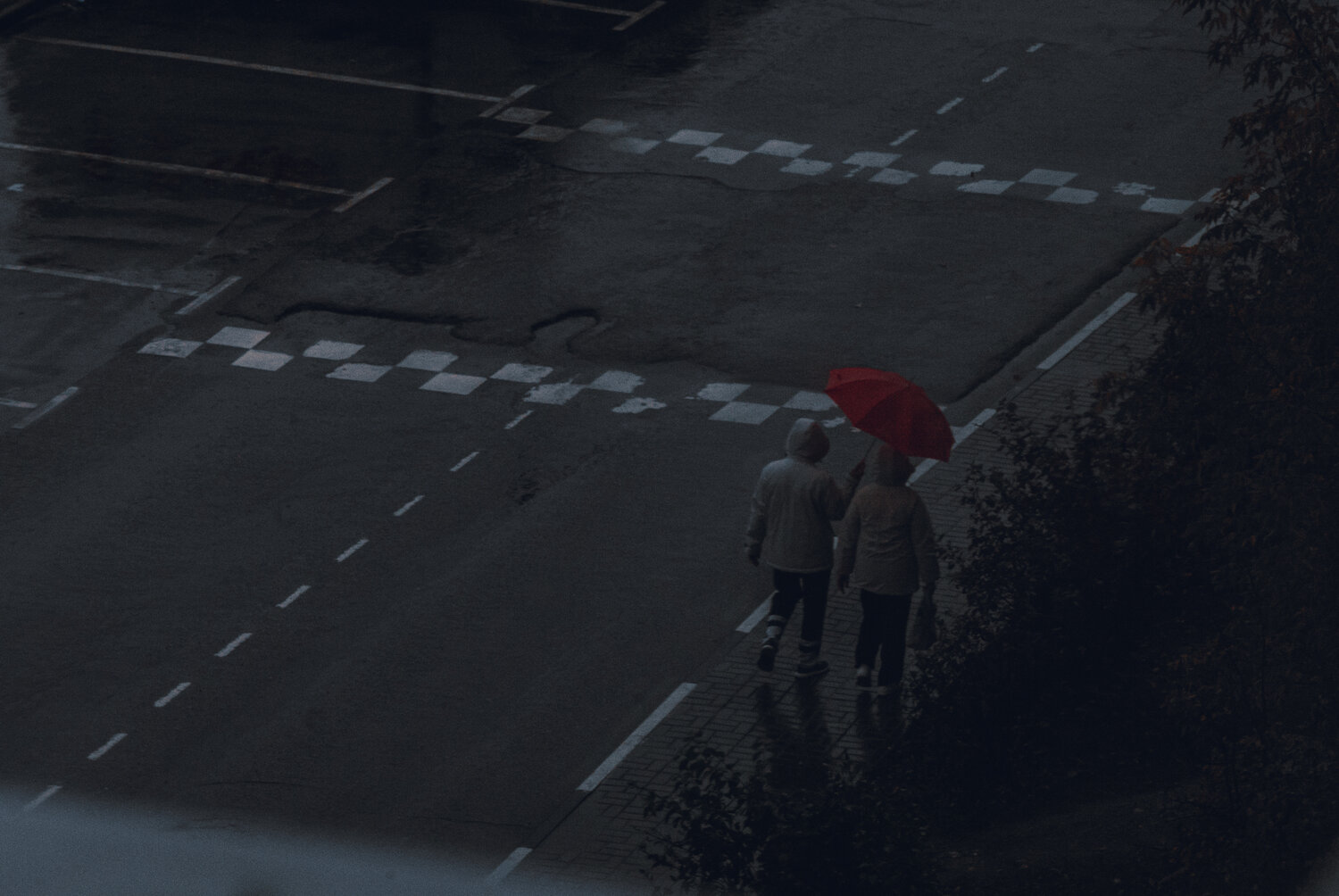 Photo #14225118