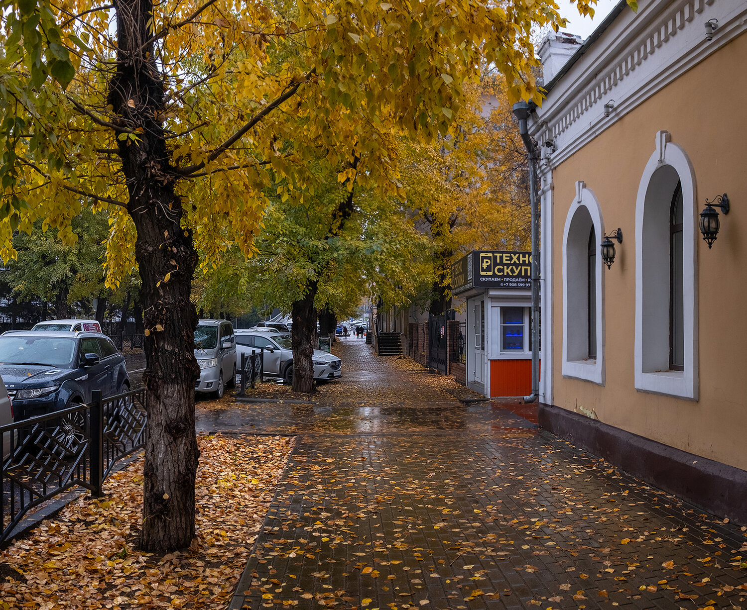 Photo #14225142