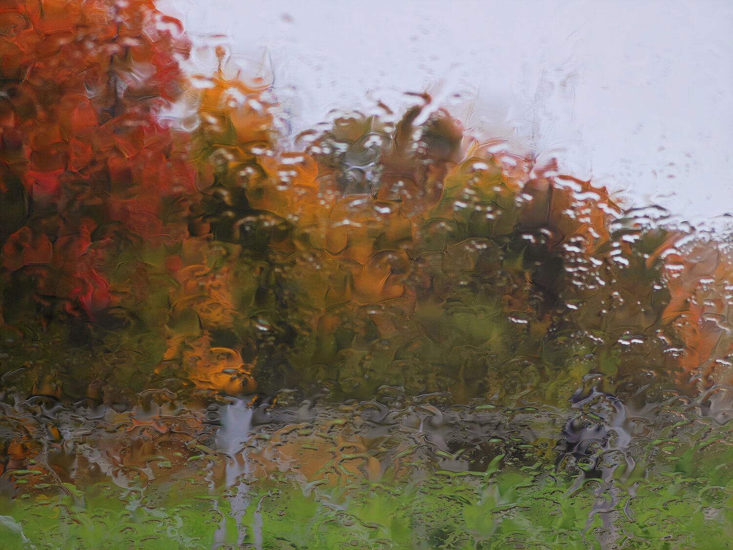 Photo #14225173