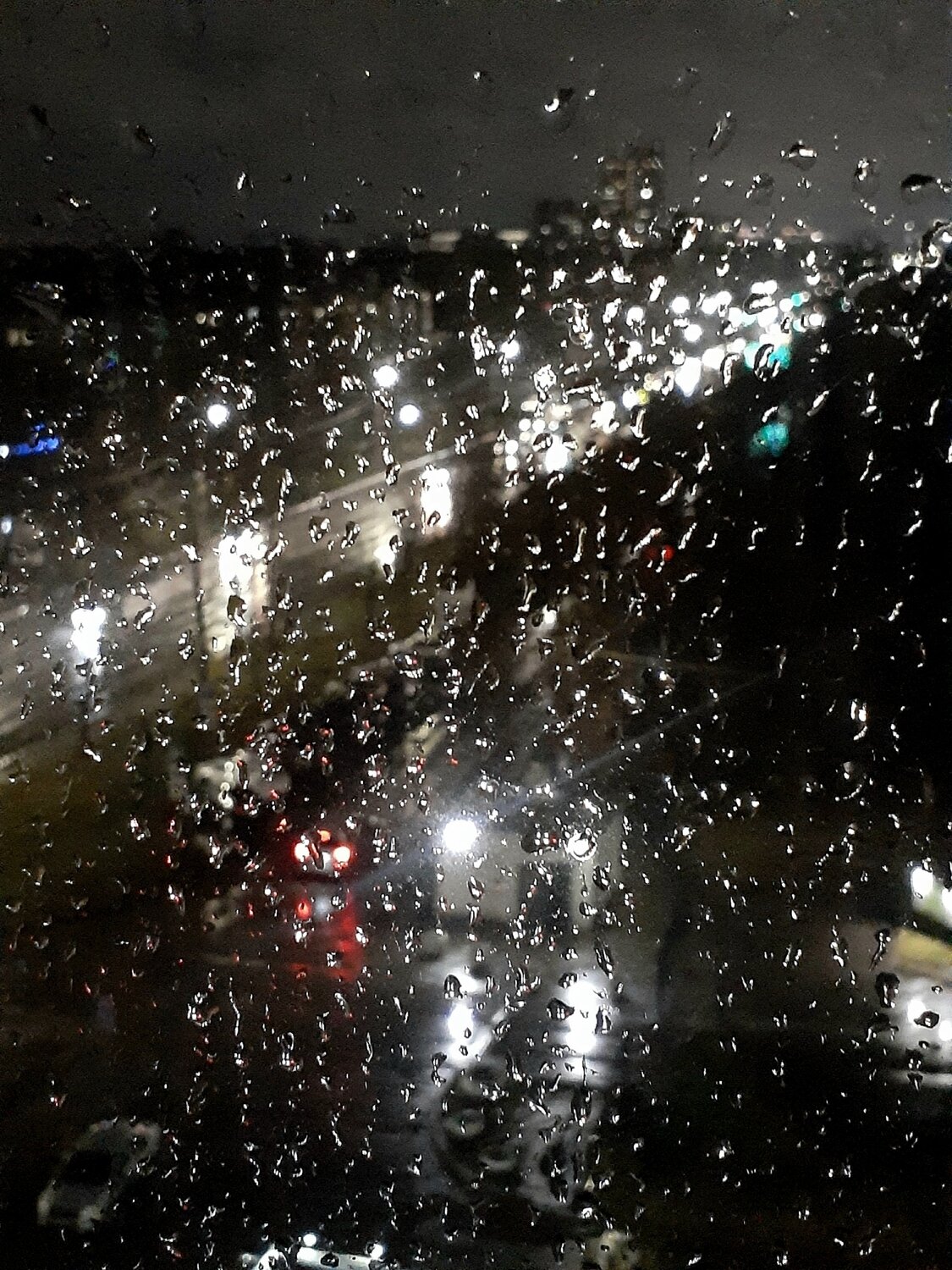 Photo #14225295