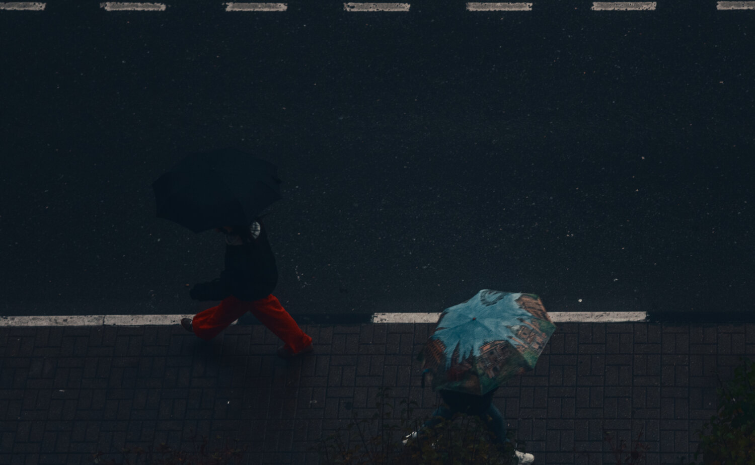Photo #14225366