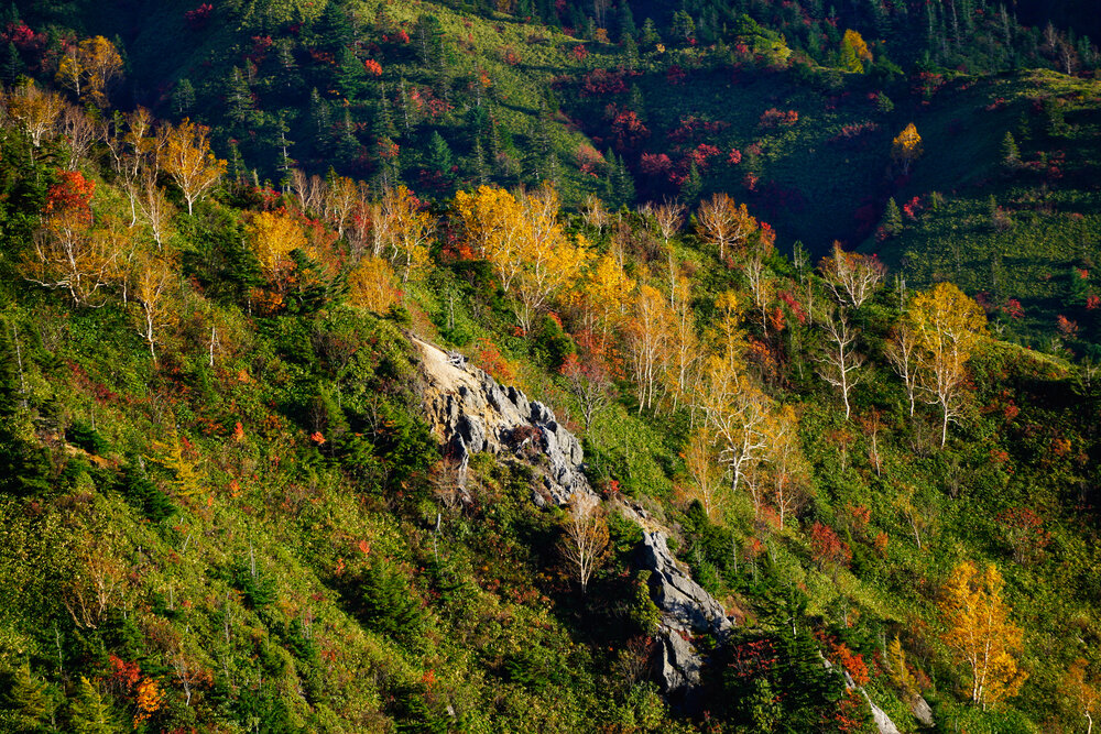 A Mountain Draped in Color