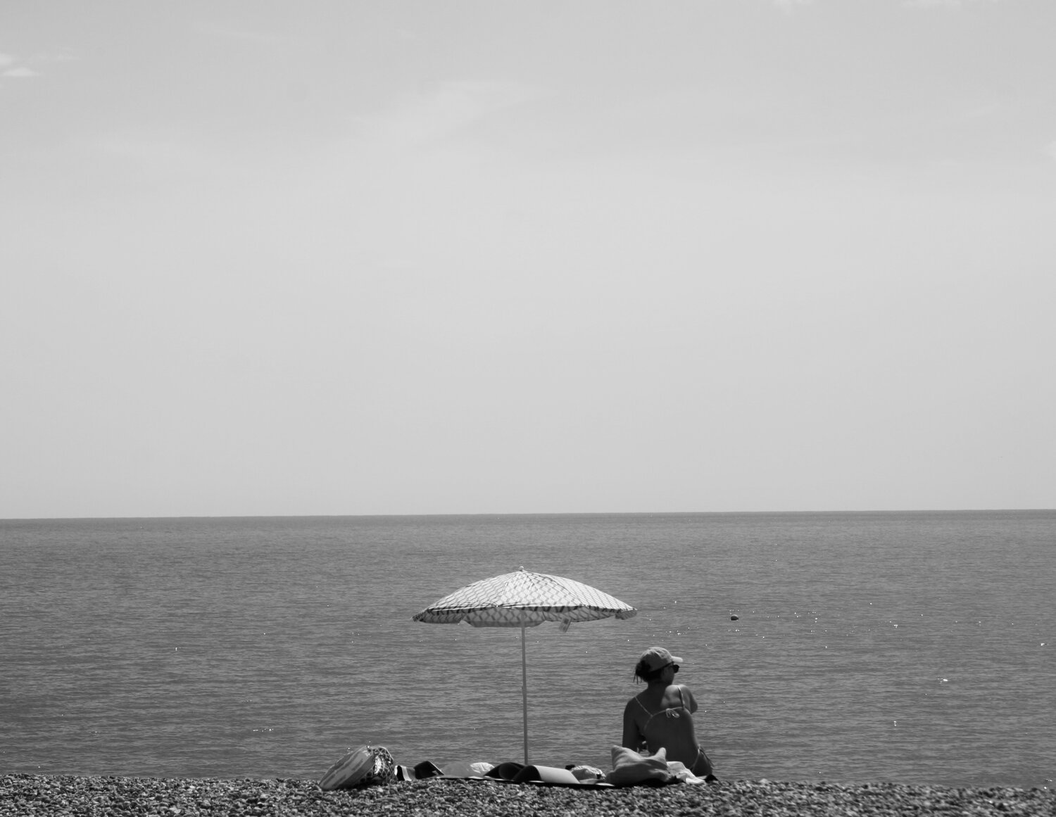 Photo #14225439