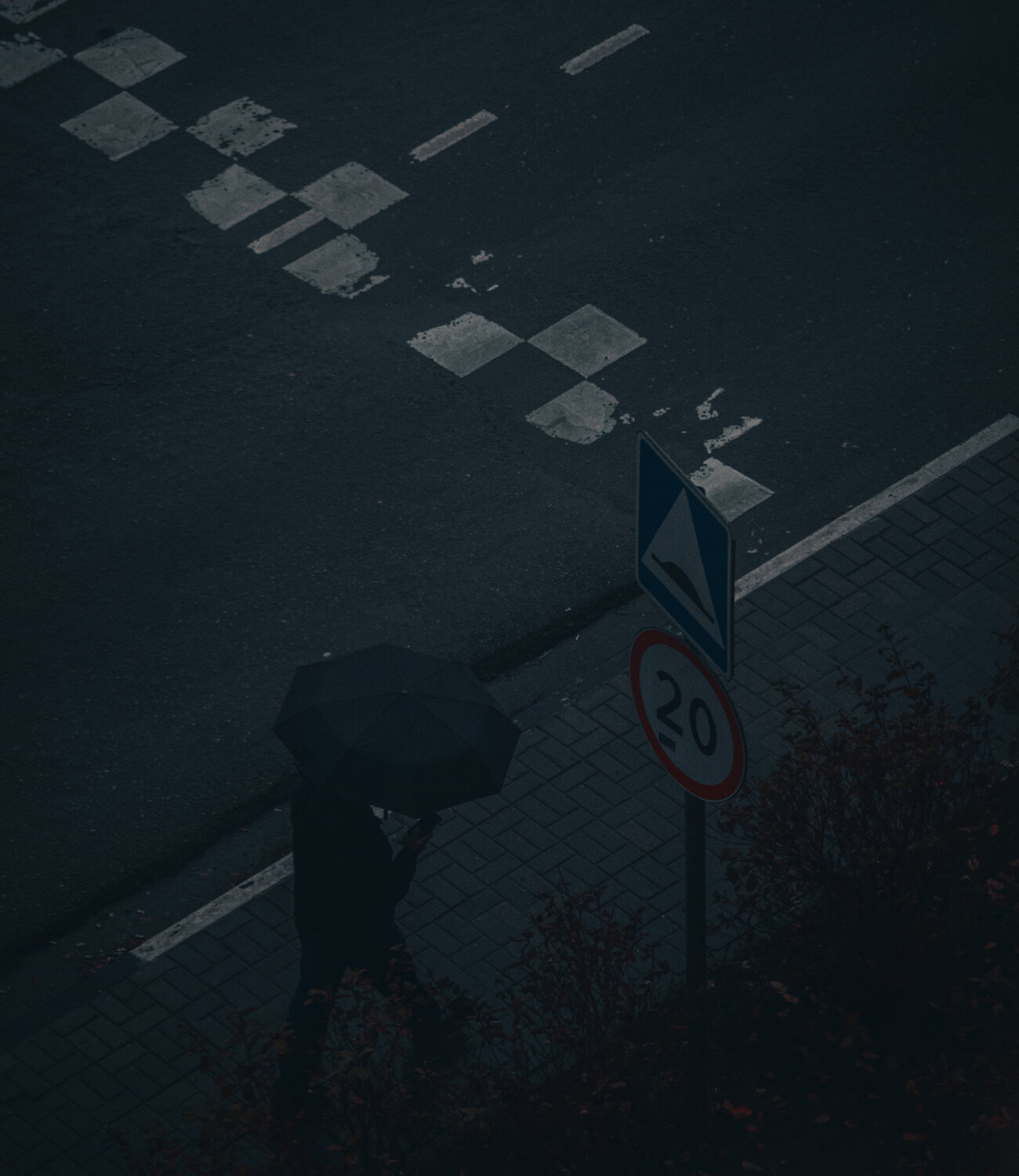 Photo #14225723