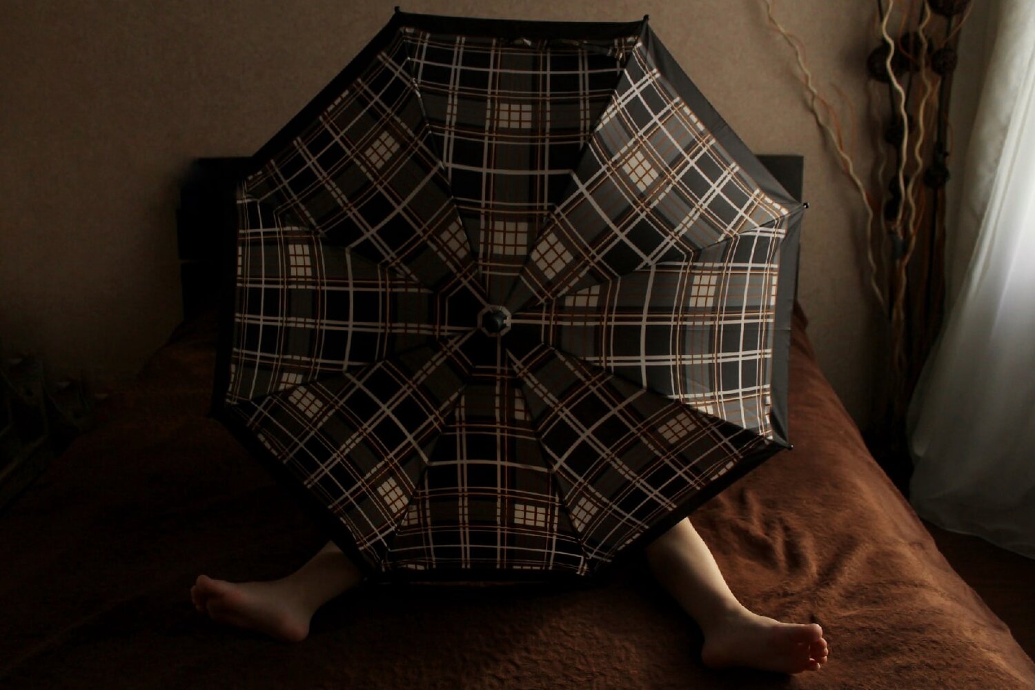 Photo #14225797