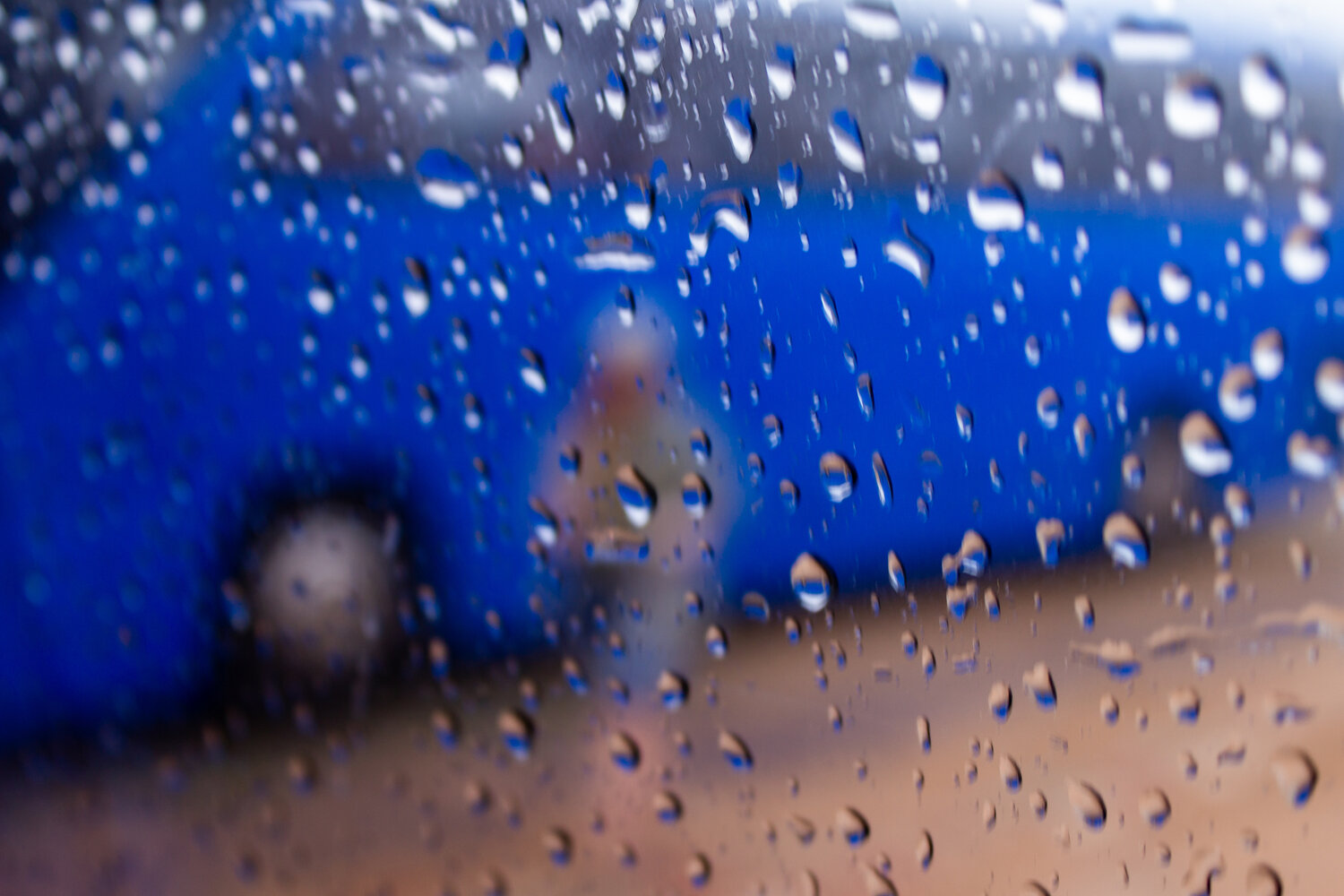 Photo #14225812