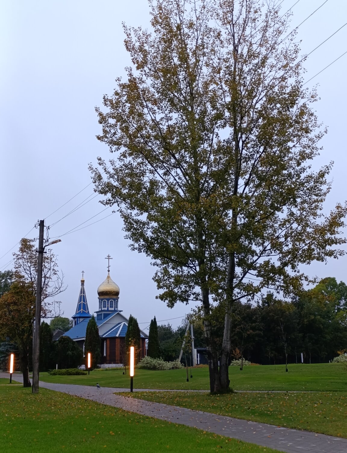 Photo #14225876