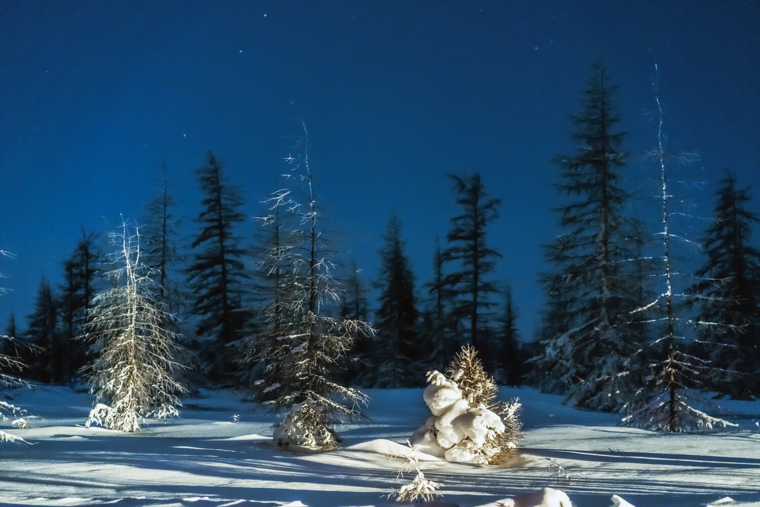 Photo #14225987