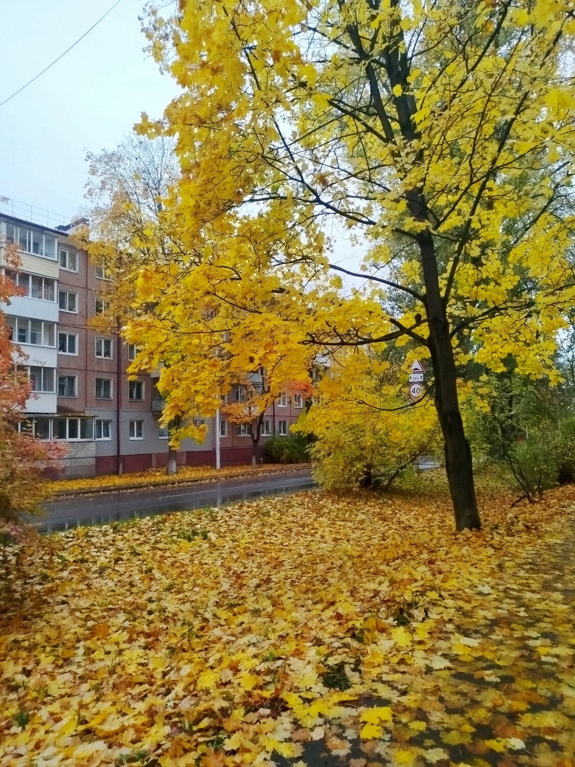Photo #14226125