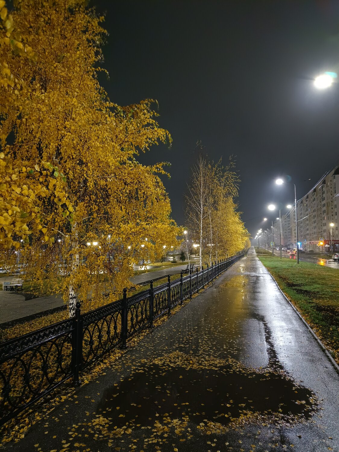 Photo #14226193