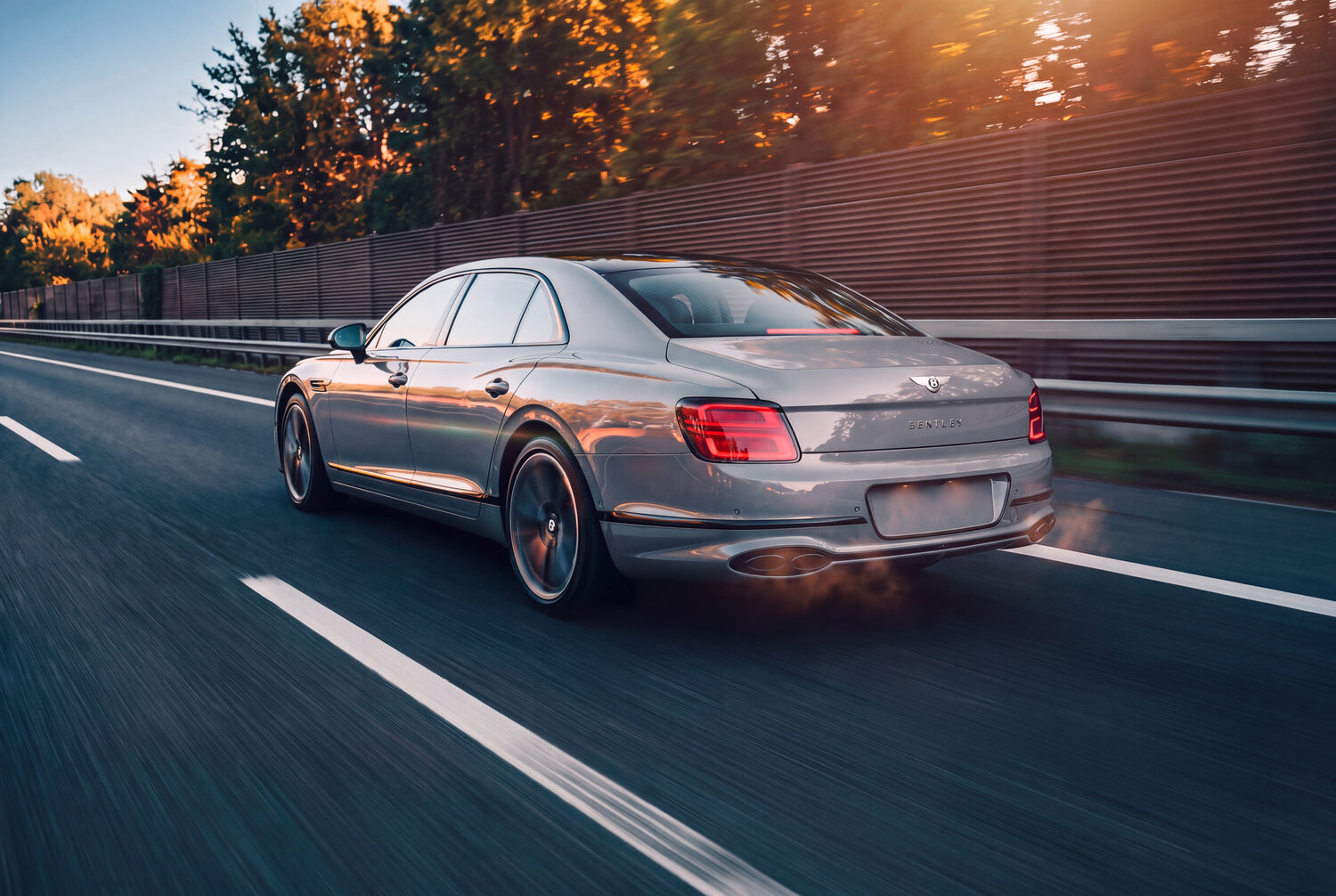 Elegance in Motion