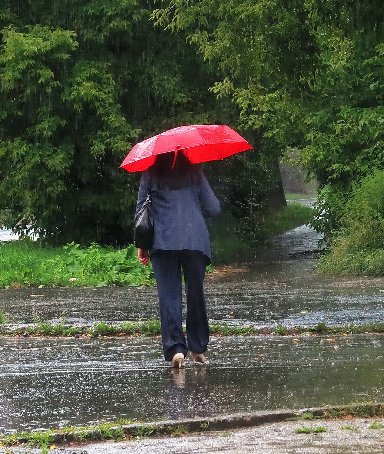 Photo #14226349