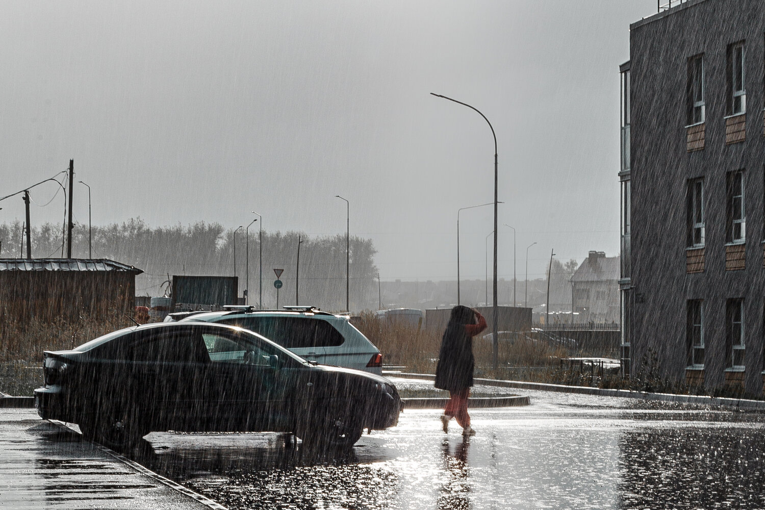 Photo #14226736