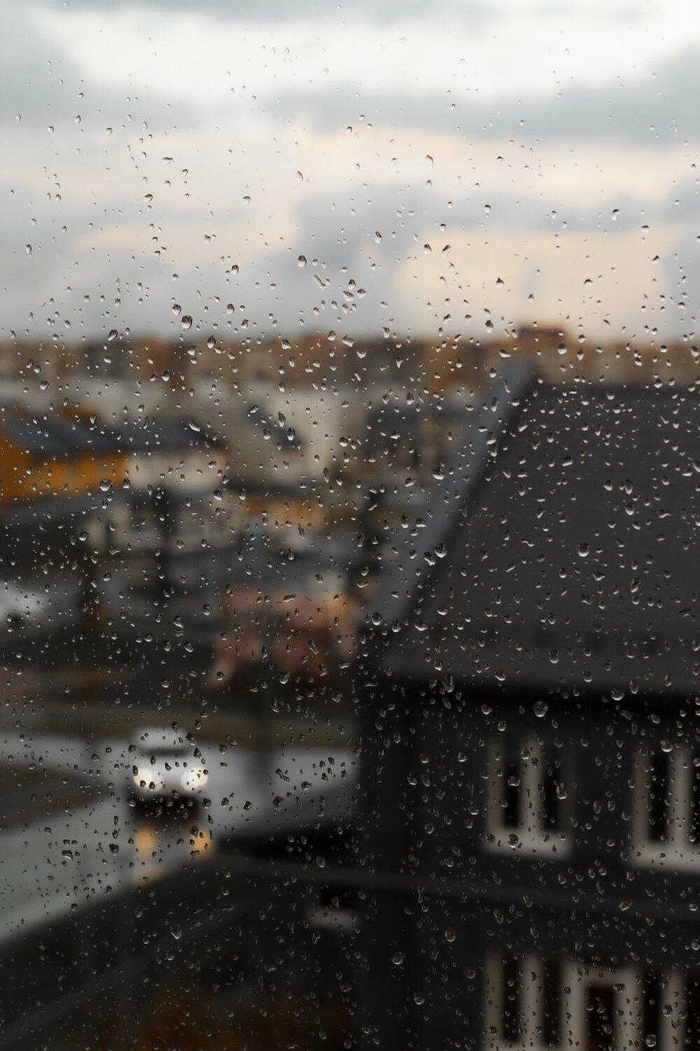 Photo #14226739