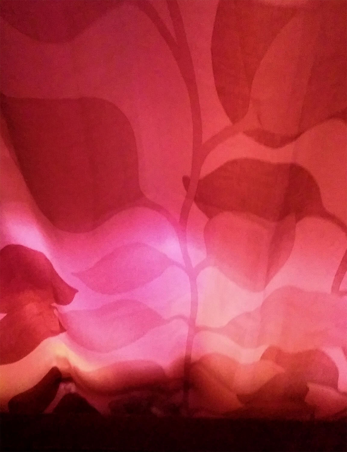 Photo #14226792