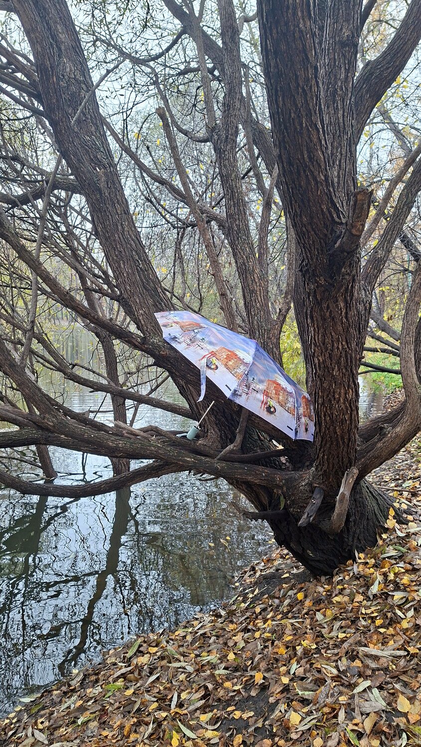 Photo #14226928